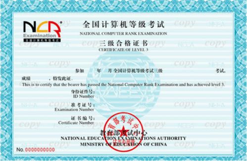 2020余额告急 计算机网络工程领域的挑战与机遇