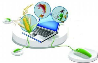 计算机网络工程驱动农村电商市场迈向万亿新纪元