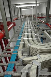 上海办公室布线公司 打造高效网络综合布线，赋能现代计算机网络工程